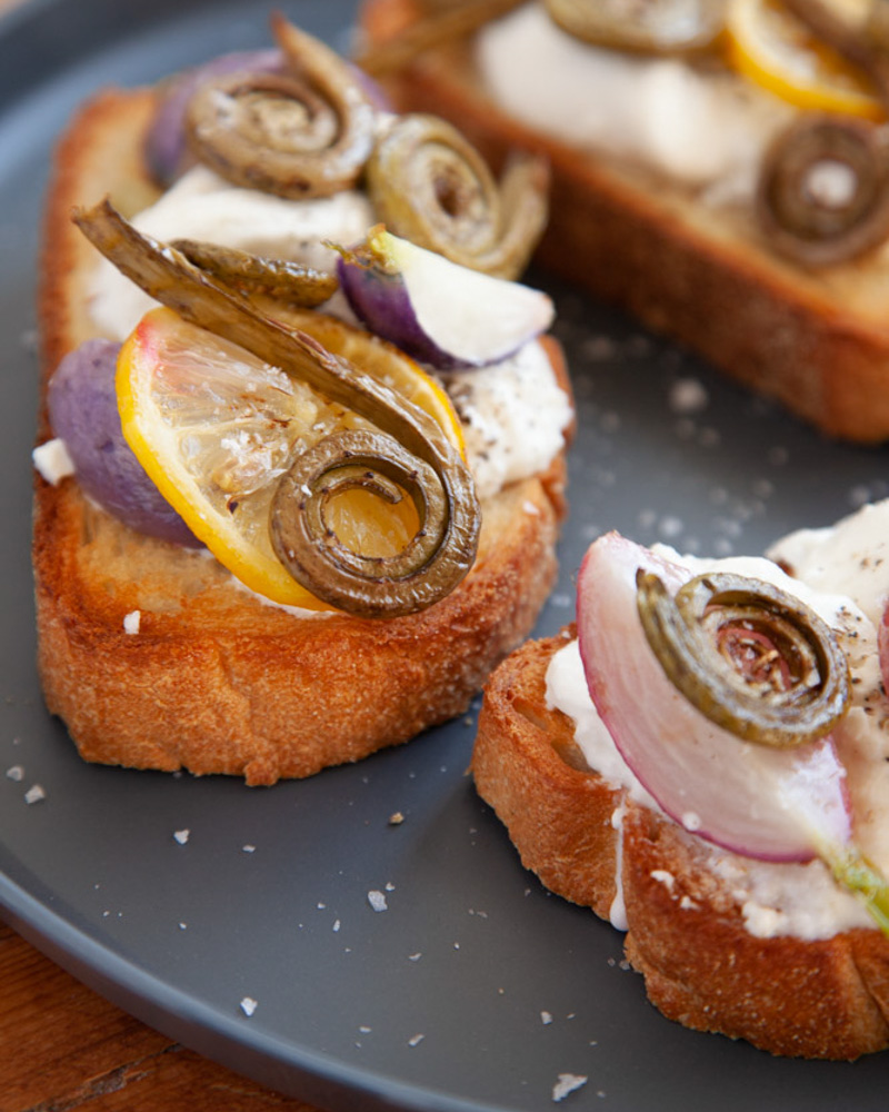 roasted fiddleheads and burrata