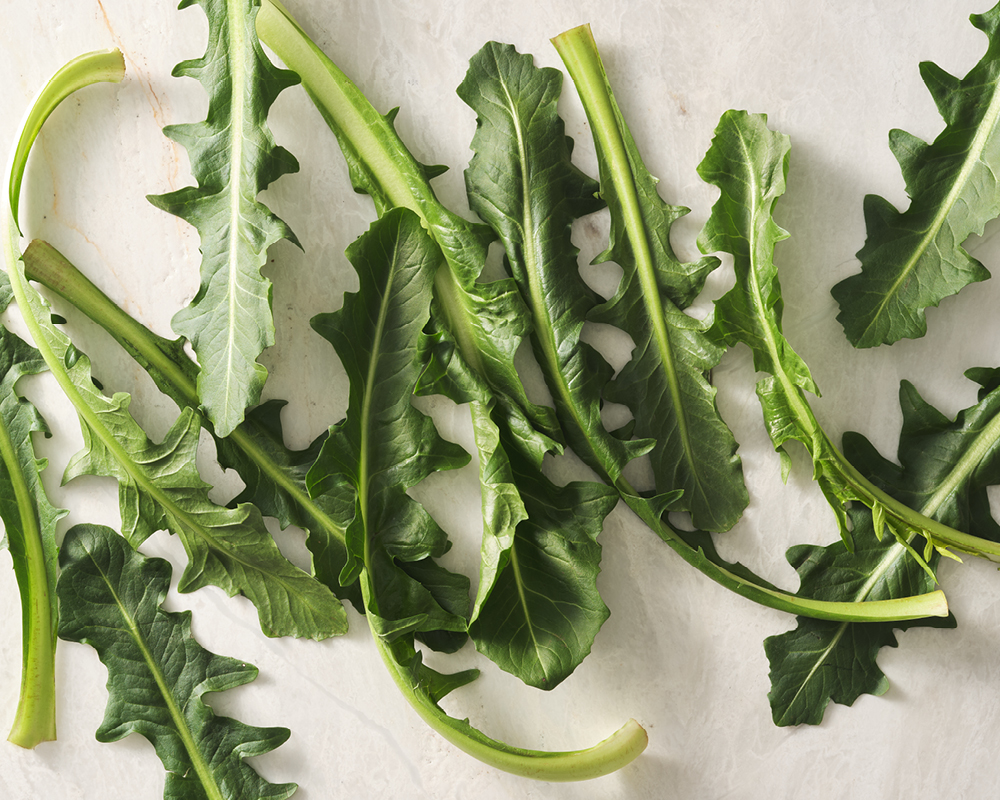 Dandelion greens on light background