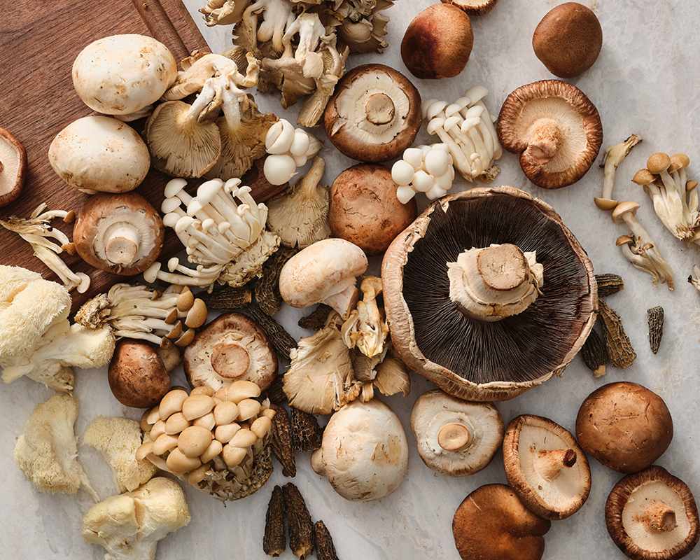 Assortment of foraged mushrooms on marble and wooden cutting board