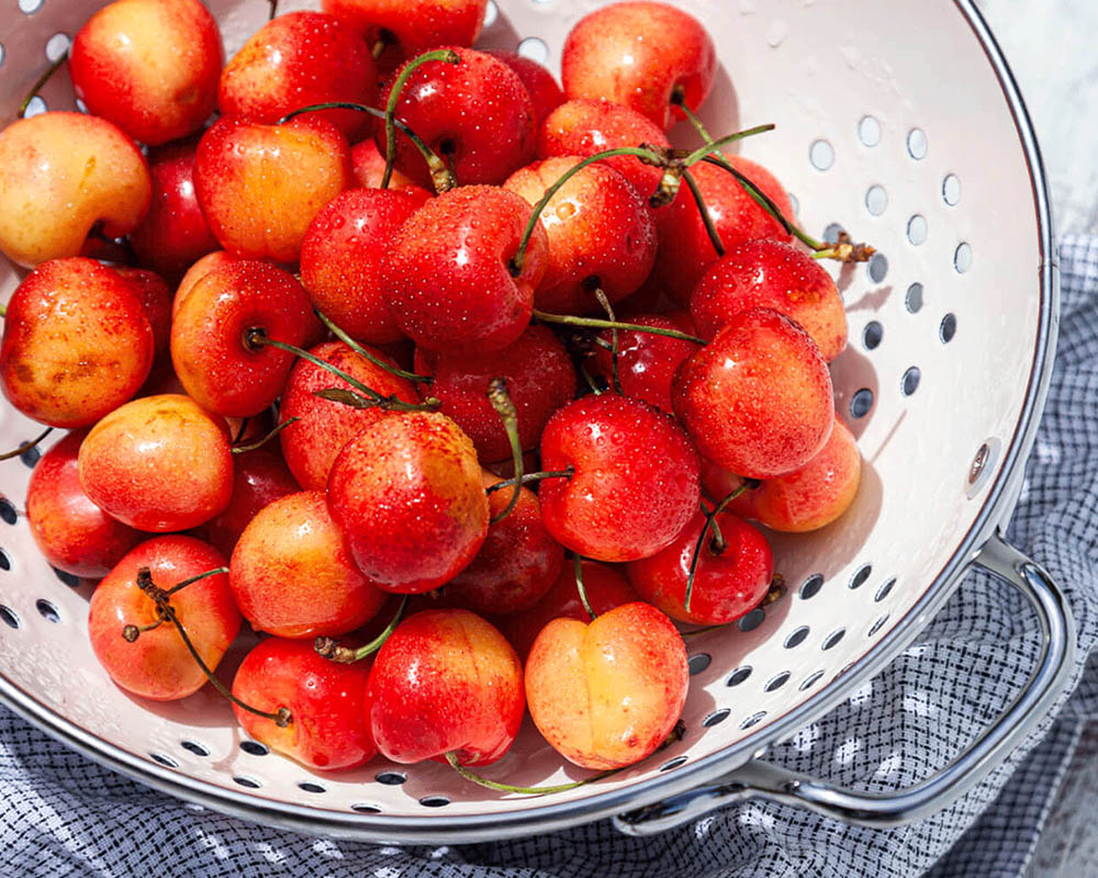 Rainier cherries in a white colander bowl.