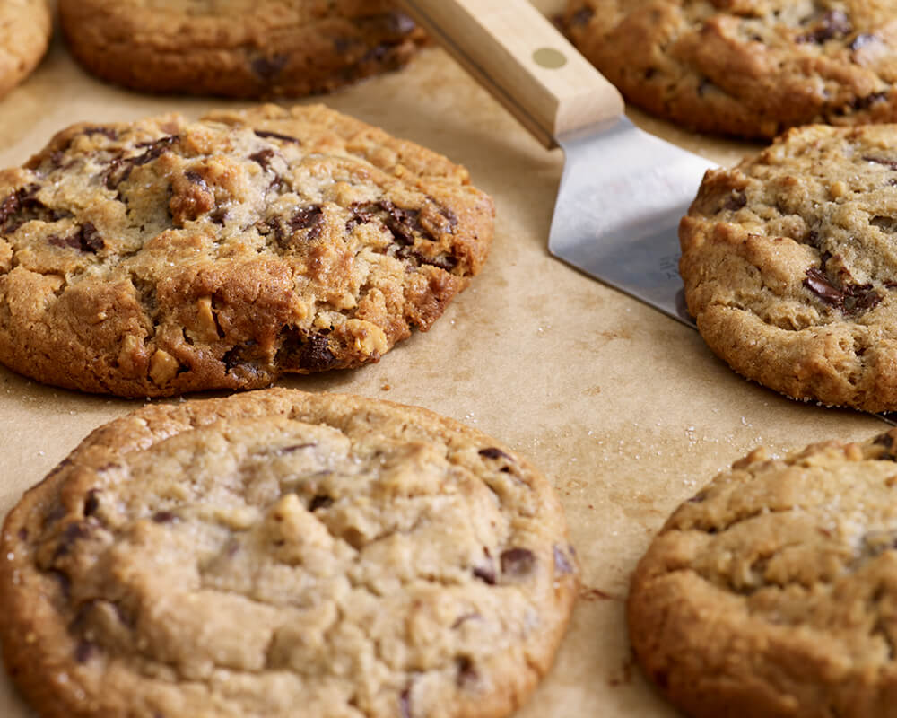 Warm, freshly baked chocolate chip cookies on a cookie sheet.