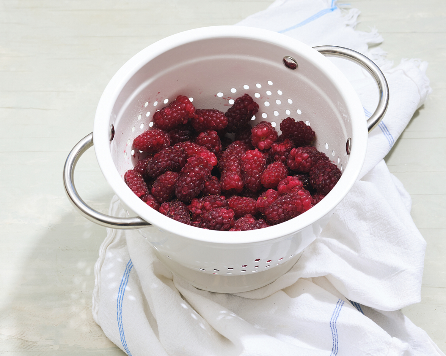 bowl of tayberries