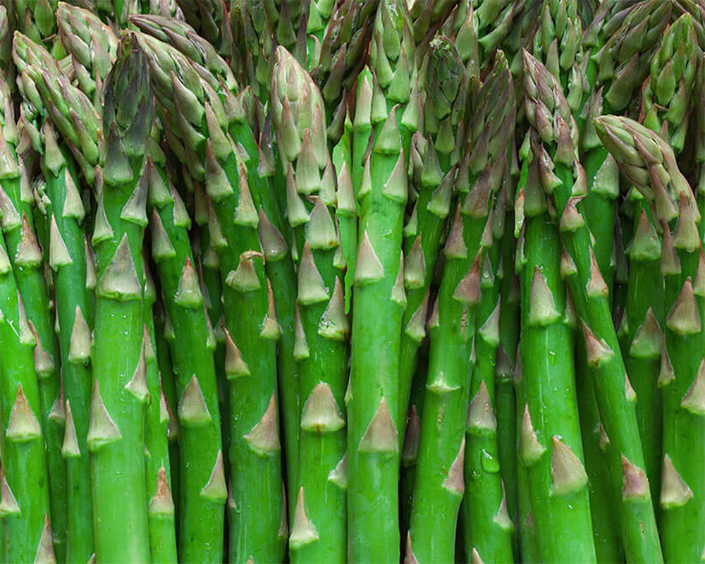 Asparagus stalks