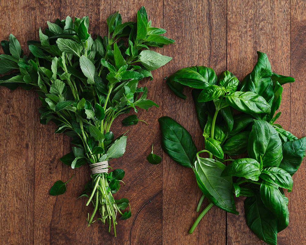 Oregano and basil bundles
