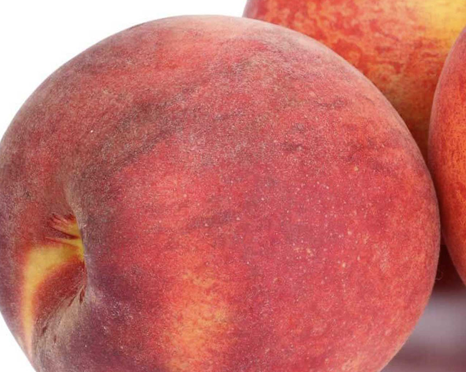 Close up image of a peach on a white background.