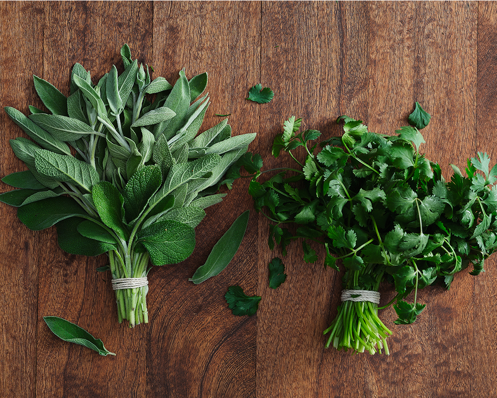 Sage and cilantro bundles