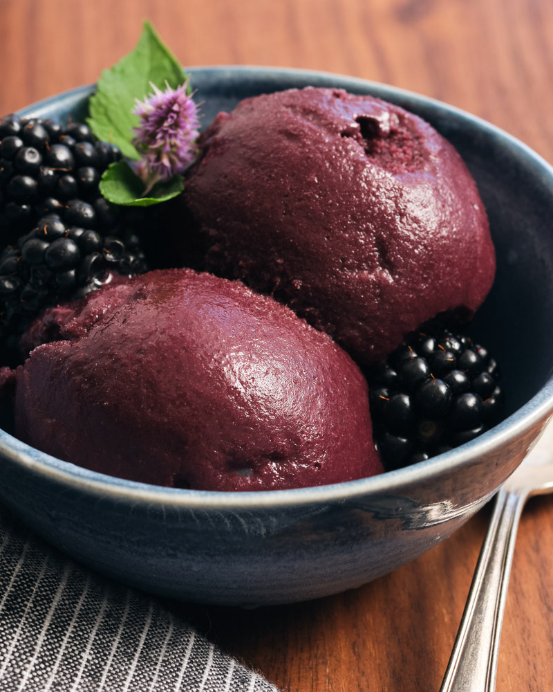 4 Ingredient Blackberry Frozen Yogurt