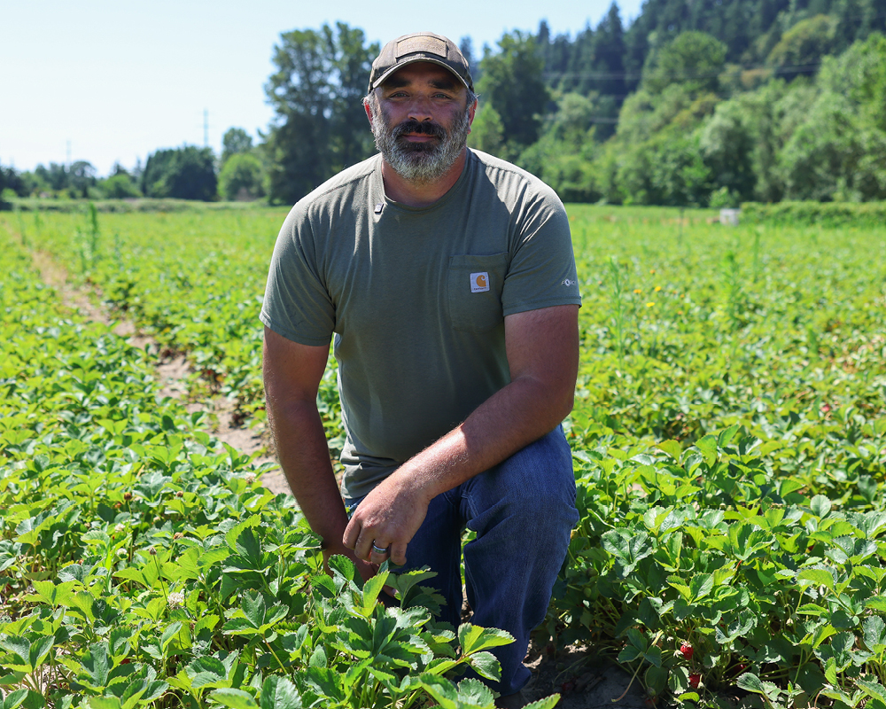 Sam Spooner kneeling in strawberry field