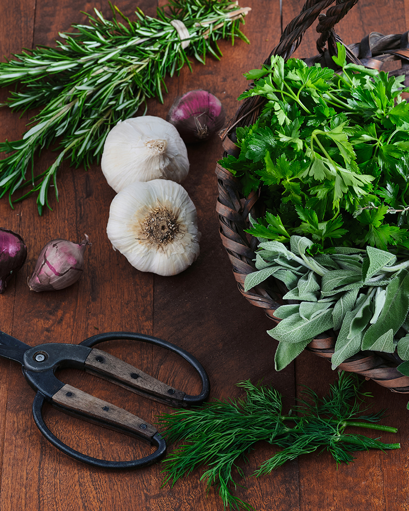 A basket of herbs with garden sheers, garlic, and mini onions