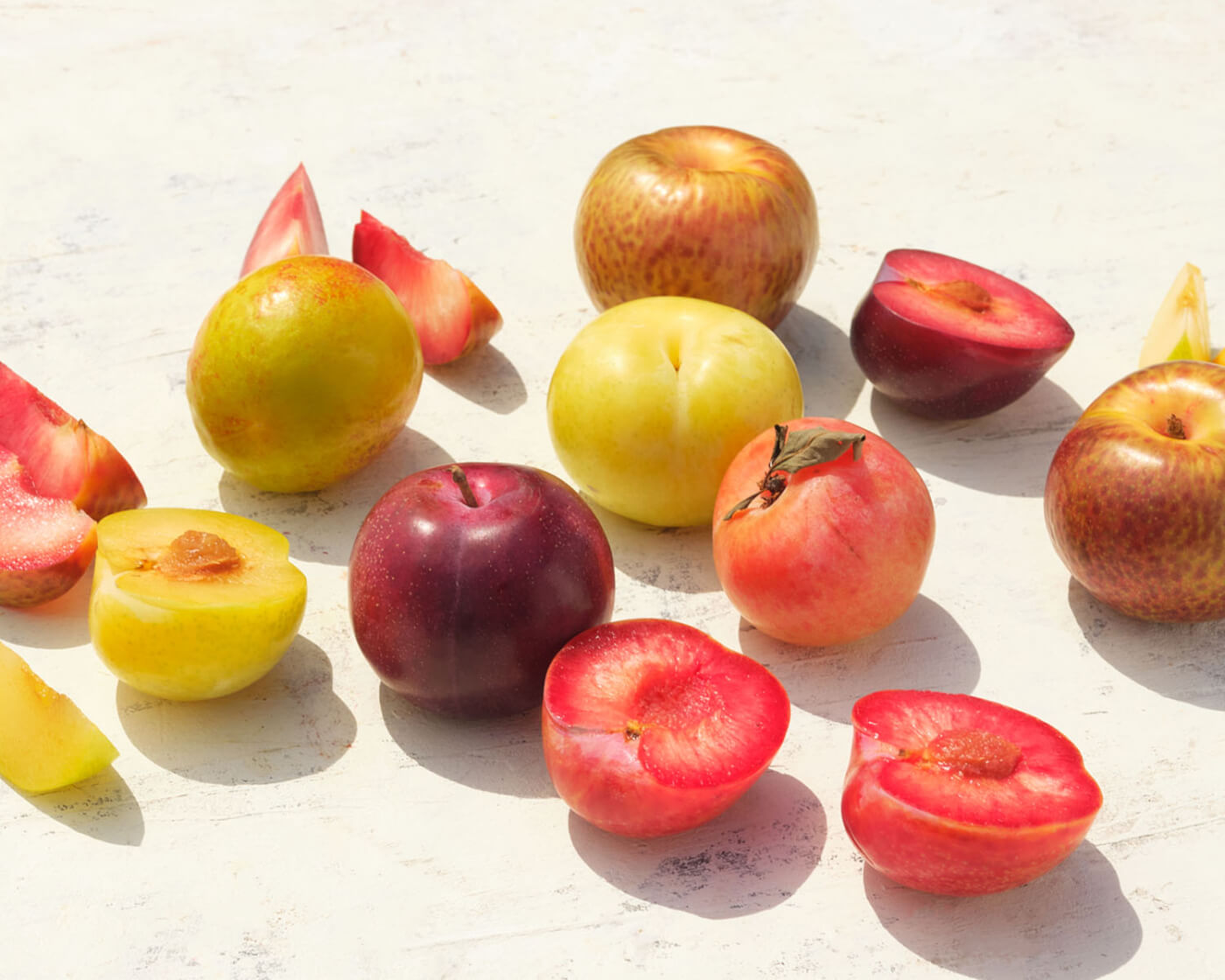 pluots plumcots and apriums