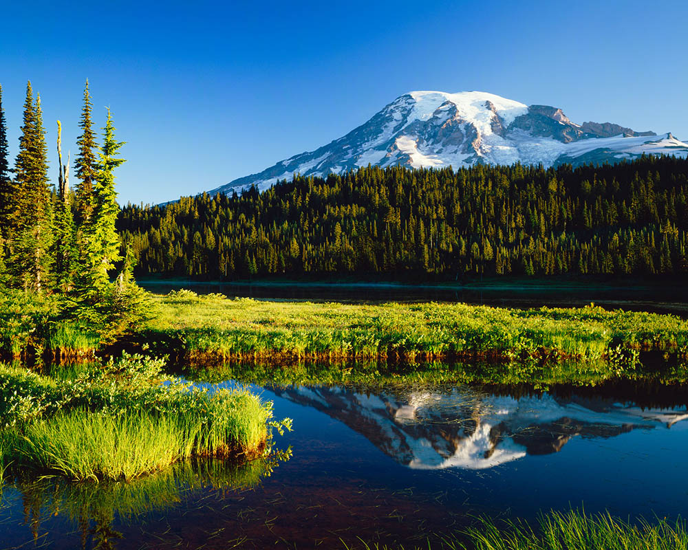 Mt. Rainer, forest and a lake